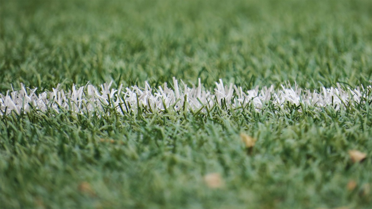 試合前の完璧に手入れされたスタジアムの芝生