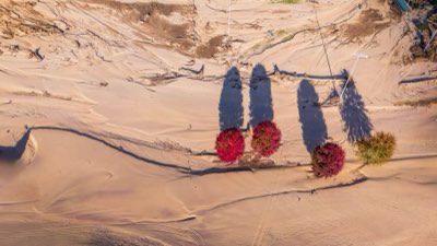 Grand Canyon Trips: Vegas Gateway to Desert Majesty