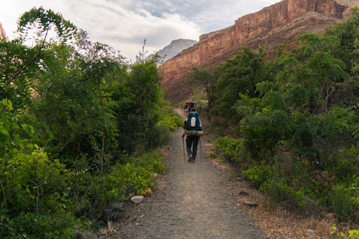 Grand Canyon trail markers along a desert path