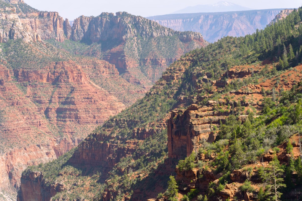 Vue du sommet du Grand Canyon : l'horizon du rêve