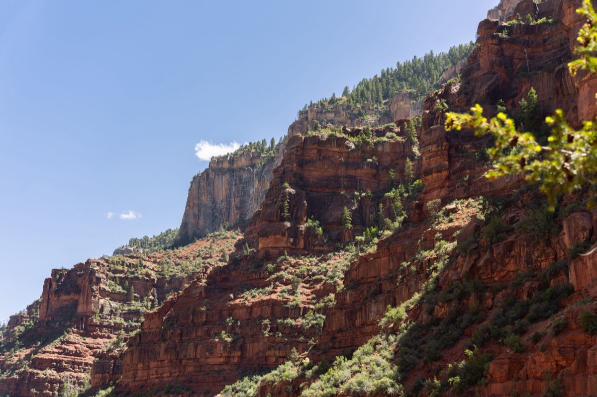Trilha do Gran Canyón: caminho de exploração