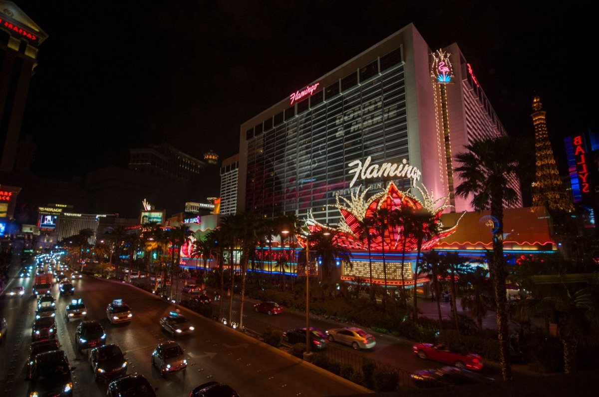 Las Vegas Strip Free Tour Bus