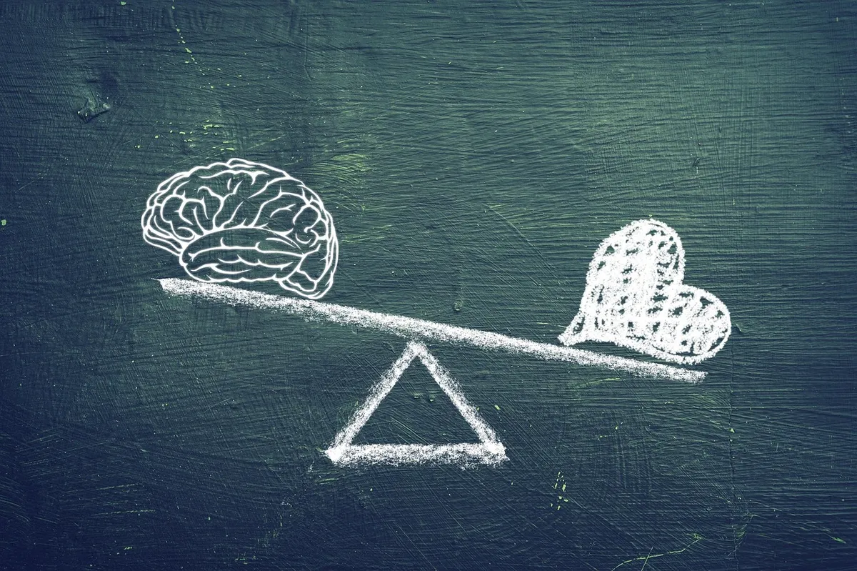 brain, heart, emotion, rational, thinking, balance, psychology, mind, choices, scale, blackboard, love, reason, brain, brain, brain, brain, brain, rational, rat